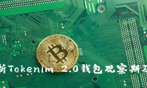 全面解析Tokenim 2.0钱包观察期及其影响