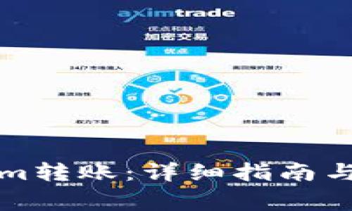 如何向Tokenim转账：详细指南与常见问题解答