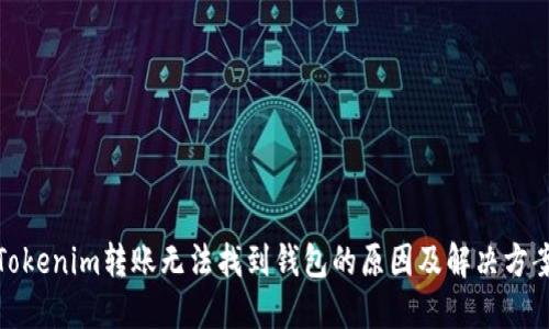Tokenim转账无法找到钱包的原因及解决方案