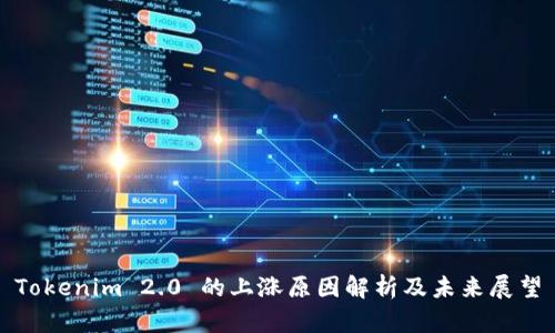 Tokenim 2.0 的上涨原因解析及未来展望
