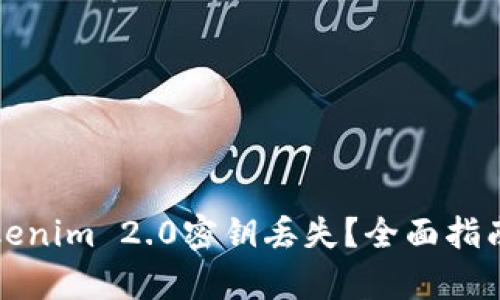 如何恢复Tokenim 2.0密钥丢失？全面指南与解决方案