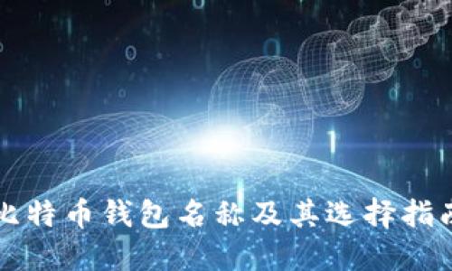 比特币钱包名称及其选择指南
