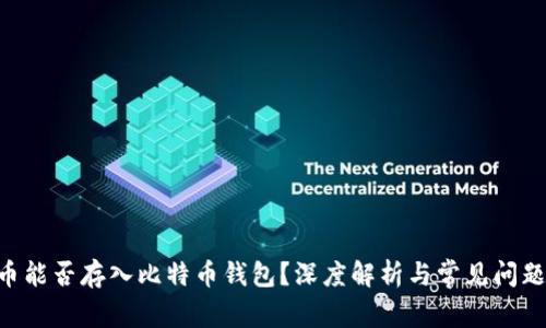 BSV币能否存入比特币钱包？深度解析与常见问题解答
