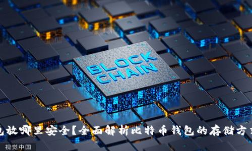 比特币钱包放哪里安全？全面解析比特币钱包的存储方式与安全性