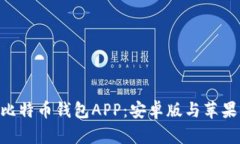 如何安全下载比特币钱包