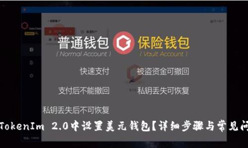 如何在TokenIm 2.0中设置美元钱包？详细步骤与常见问题解答