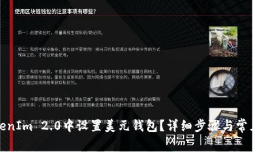 如何在TokenIm 2.0中设置美元钱包？详细步骤与常见问题解答