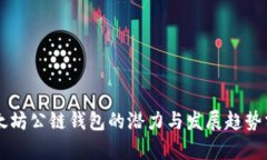 以太坊公链钱包的潜力与