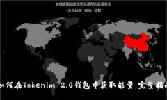 如何在Tokenim 2.0钱包中获取