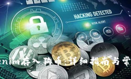 如何将Tokenim存入狗币：详细指南与常见问题解答
