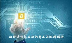 比特币钱包名称的意义与选择指南