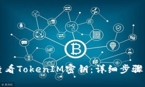 如何查看TokenIM密钥：详细步骤与指南