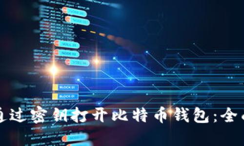 如何通过密钥打开比特币钱包：全面指南