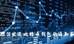 如何使用短信发送比特币钱包的通知和交易信息