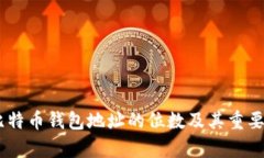 binci比特币钱包地址的位数及其重要性解析