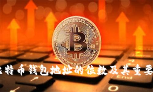 binci比特币钱包地址的位数及其重要性解析