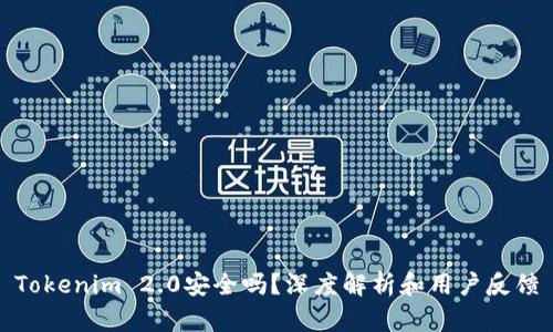Tokenim 2.0安全吗？深度解析和用户反馈