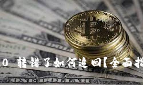 : Tokenim 2.0 转错了如何追回？全面指南与解决方案