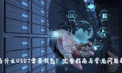 : 为什么USDT需要钱包? 完整指南与常见问题解答