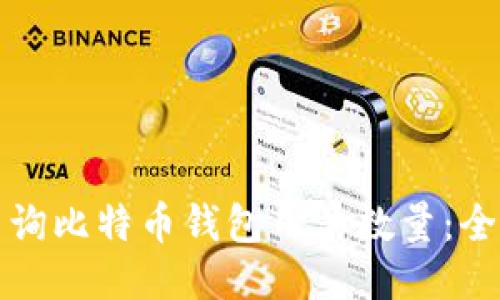 如何查询比特币钱包用户数量：全面指南