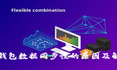 比特币钱包数据同步慢的原因及解决方案