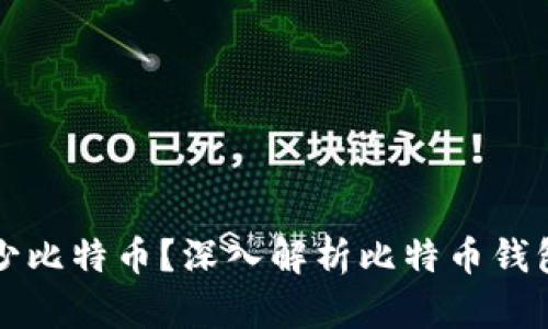 钱包可以容纳多少比特币？深入解析比特币钱包类型与存储容量