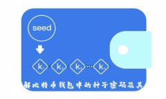如何理解比特币钱包中的种子密码及其重要性