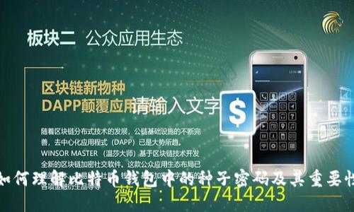 如何理解比特币钱包中的种子密码及其重要性