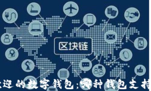 
探索最受欢迎的数字钱包：哪种钱包支持USDT交易？