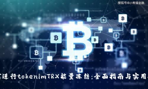 如何进行tokenimTRX能量冻结：全面指南与实用技巧