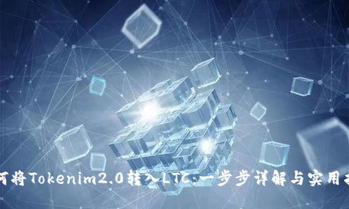 如何将Tokenim2.0转入LTC：一步步详解与实用指南
