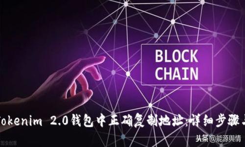 如何在Tokenim 2.0钱包中正确复制地址：详细步骤与小贴士