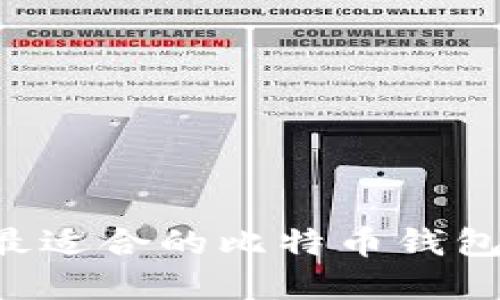 如何选择最适合的比特币钱包：完整指南