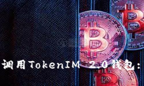 如何在客户端DApp中调用TokenIM 2.0钱包: 完整指南与实践技巧