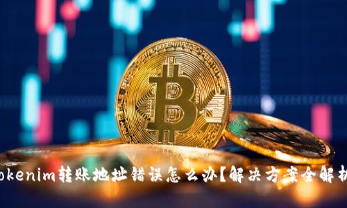 Tokenim转账地址错误怎么办？解决方案全解析！