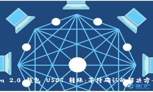 :Tokenim 2.0 钱包 USDT 转账：等待确认的解决方案与技巧