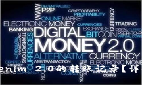 如何查询Tokenim 2.0的转账记录？详解与实用技巧