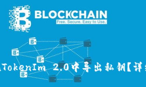 diaoti如何在TokenIm 2.0中导出私钥？详细指南与技巧