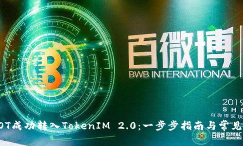 如何将DOT成功转入TokenIM 2.0：一步步指南与常见问题解答
