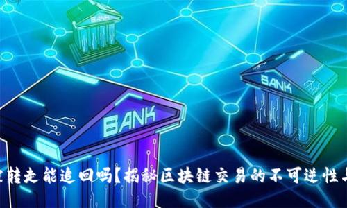 Tokenim被转走能追回吗？揭秘区块链交易的不可逆性与安全策略