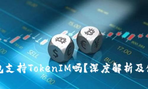 库神钱包支持TokenIM吗？深度解析及使用指南