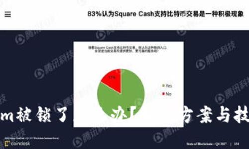 Tokenim被锁了怎么办？解决方案与技巧分享