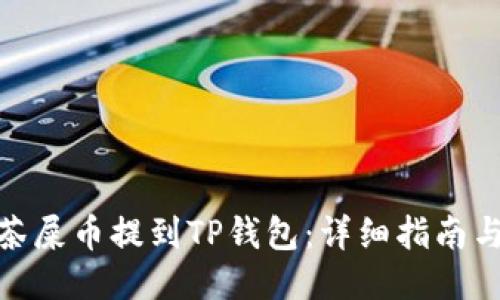 如何将抹茶屎币提到TP钱包：详细指南与操作步骤