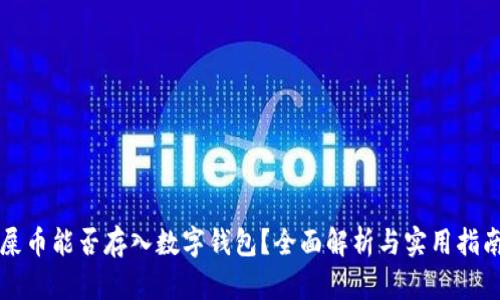 屎币能否存入数字钱包？全面解析与实用指南