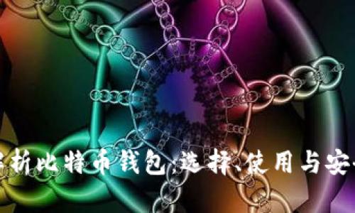 全面解析比特币钱包：选择、使用与安全策略