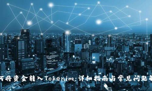 如何将资金转入Tokenim：详细指南与常见问题解答