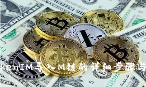 如何将TokenIM导入M链的详细步骤与注意事项