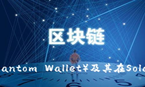全面解析幻影钱包（Phantom Wallet）及其在Solana生态系统中的应用