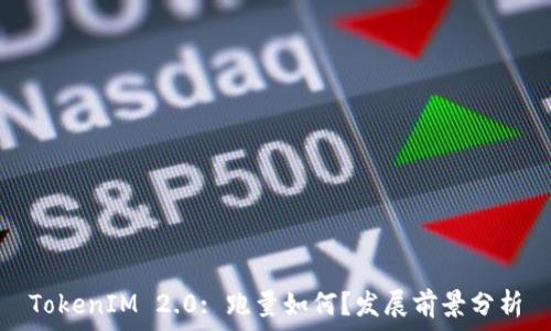 
TokenIM 2.0: 跑量如何？发展前景分析