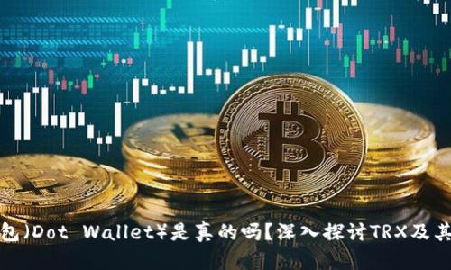 波点钱包（Dot Wallet）是真的吗？深入探讨TRX及其安全性